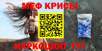 спайс Кингисепп