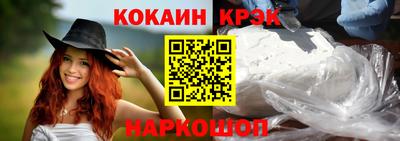 спайс Кингисепп