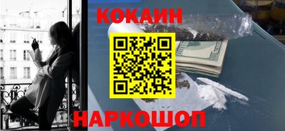 спайс Кингисепп