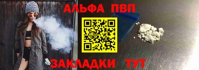 спайс Кингисепп