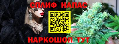 спайс Кингисепп