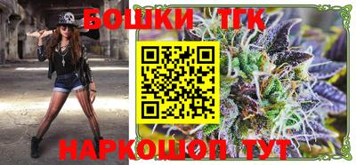 спайс Кингисепп