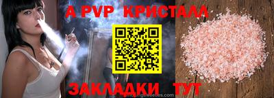 спайс Кингисепп