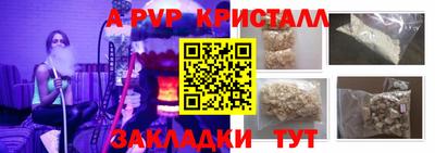 спайс Кингисепп